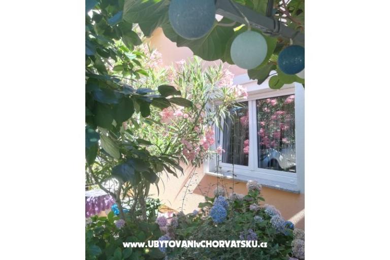 Apartmaji Lucija – foto 15