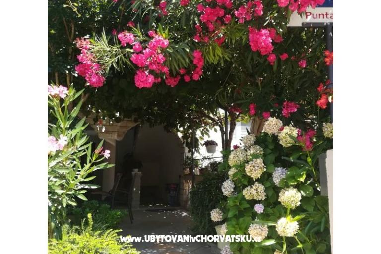 Apartmaji Lucija – foto 17