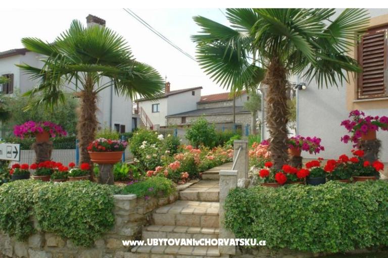 Apartmaji Milokanović – foto 4