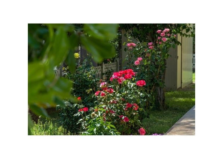Apartmaji Stanic – foto 5