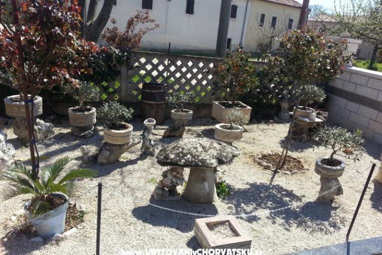 Apartmaji KRAMAR – foto 5
