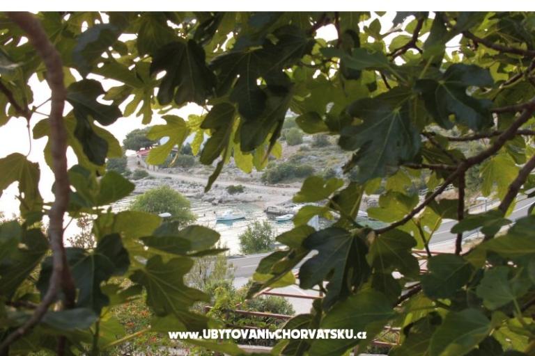 Apartma Brnistra – foto 16