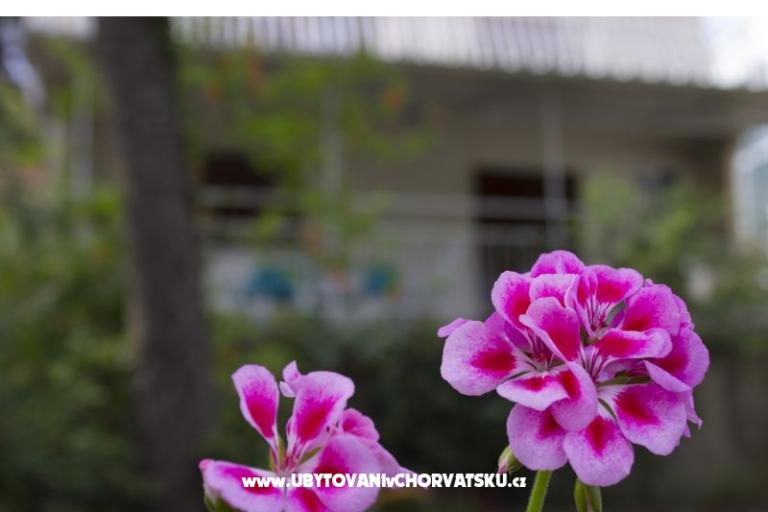 Apartmaji Porat - PRIMOŠTEN – foto 2