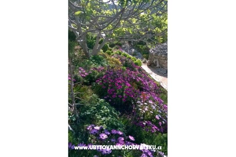 Apartmaji   Luka – foto 10