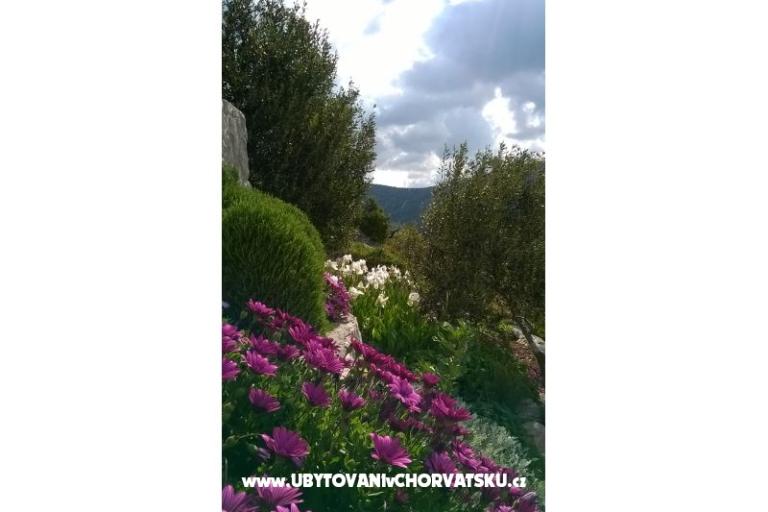 Apartmaji   Luka – foto 5