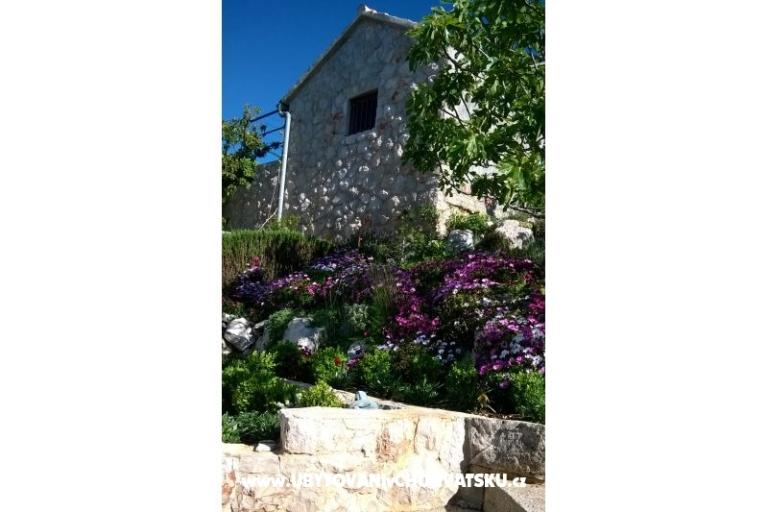 Apartmaji   Luka – foto 6