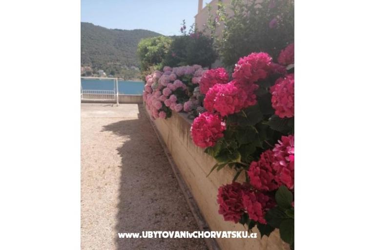 Apartmaji ANTONIA – foto 8