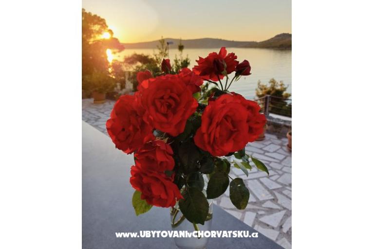 Apartmaji Šarin – foto 7
