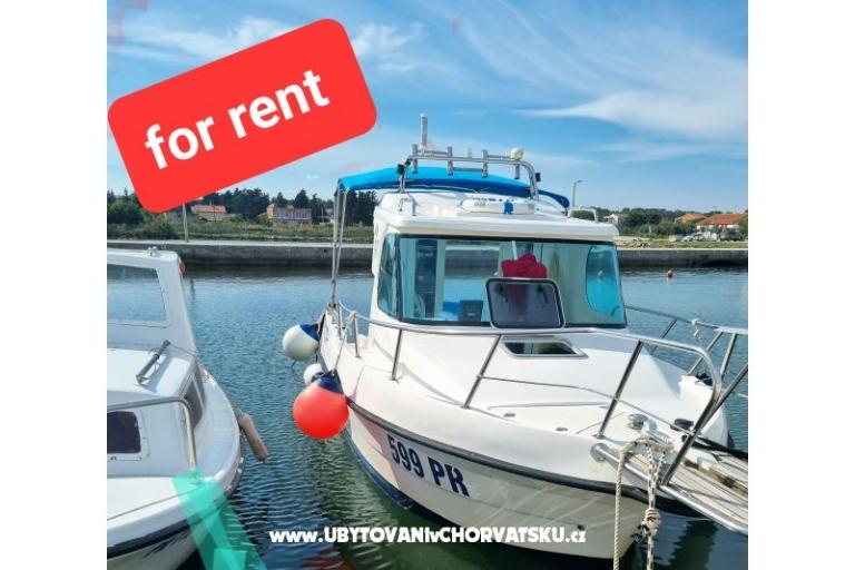 Apartmaji Vinko Banovac  – foto 11