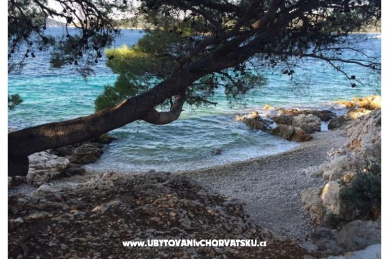Apartmaji Zorka Primošten – foto 14