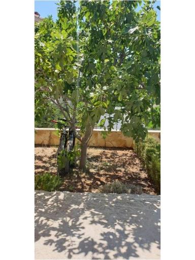 Apartmaji Jambrovic – foto 22