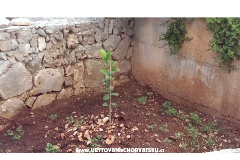 Primosten Apartmaji Rest place – foto 6