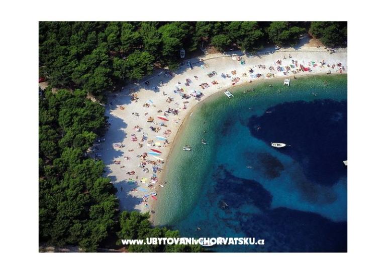 Počitniški dom Vlasta – foto 7