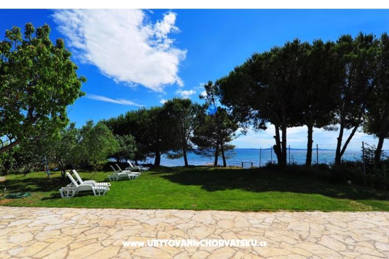 Apartma Albicia 6+2 – foto 6