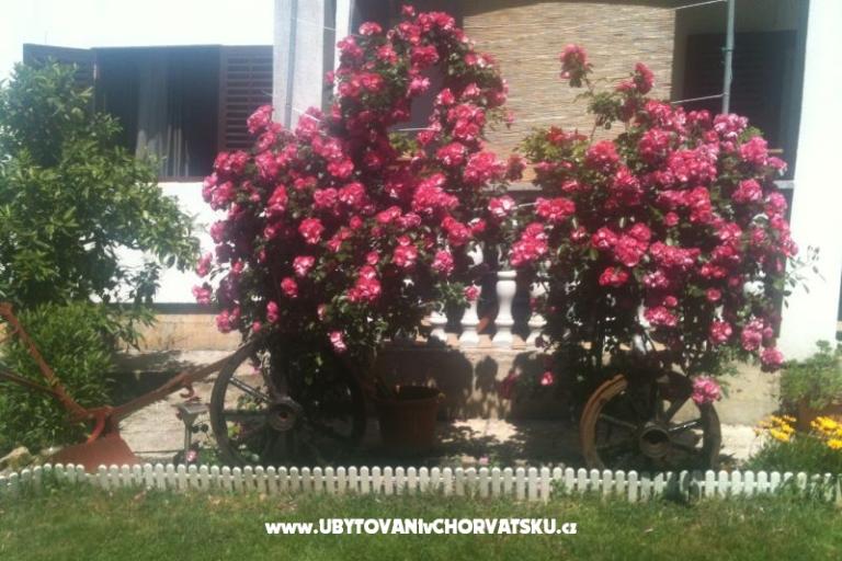 Apartma Luka – foto 15