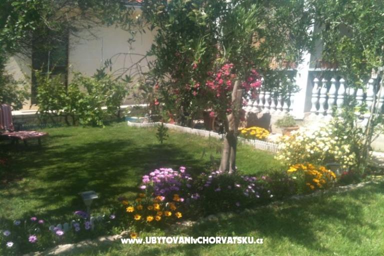 Apartma Luka – foto 16