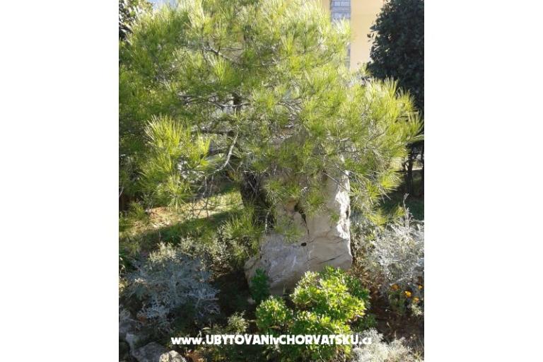 Apartmaji Mare & Berto – foto 4