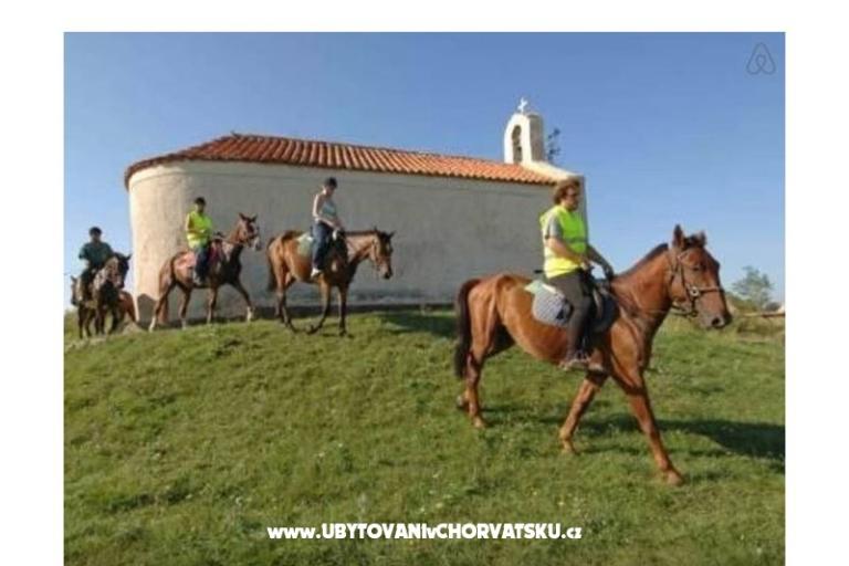 Apartmaji Šarić – foto 9
