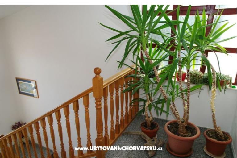 Apartmaji Mario – foto 9