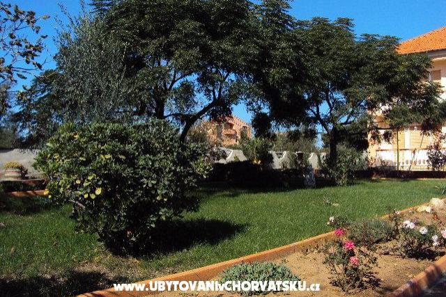 Apartmaji Barbara – foto 2