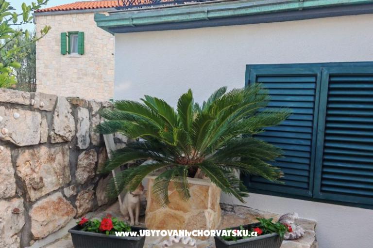 Apartmaji Liljana Ledinko – foto 9