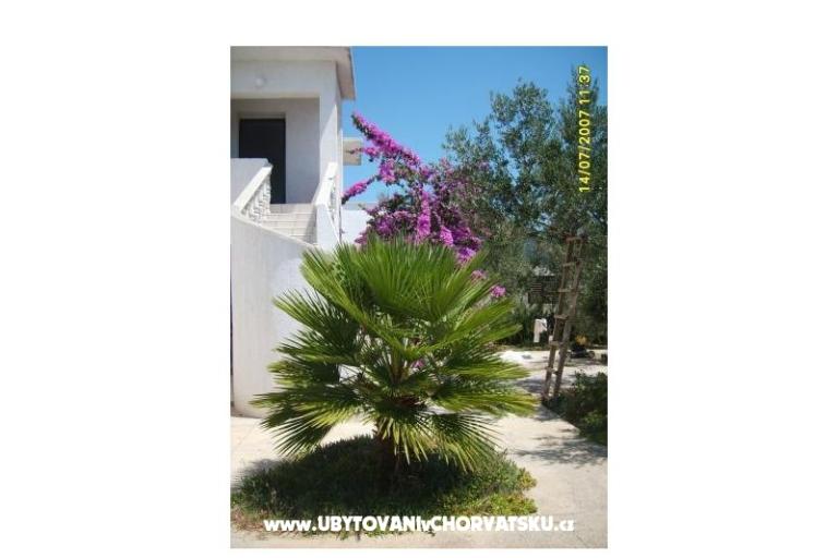 Apartmaji Šime – foto 5
