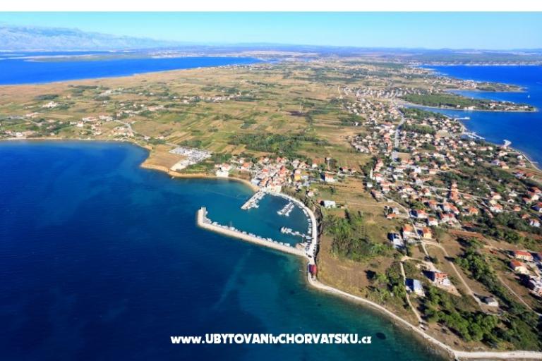 Studio Apartma Terezija – foto 13