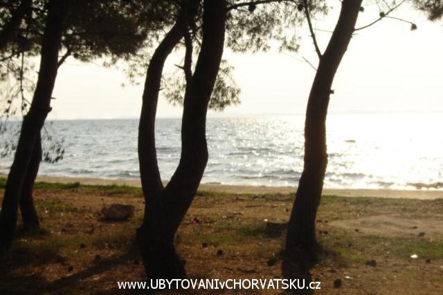 Villa Franica – foto 8