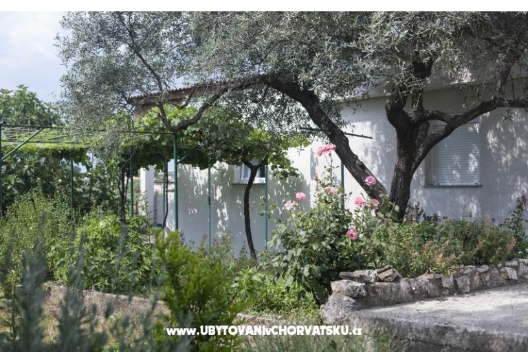 Apartma Lu&Li – foto 16