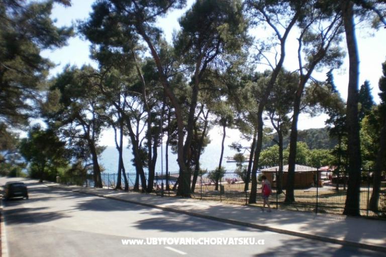 Apartma Kranjac – foto 16