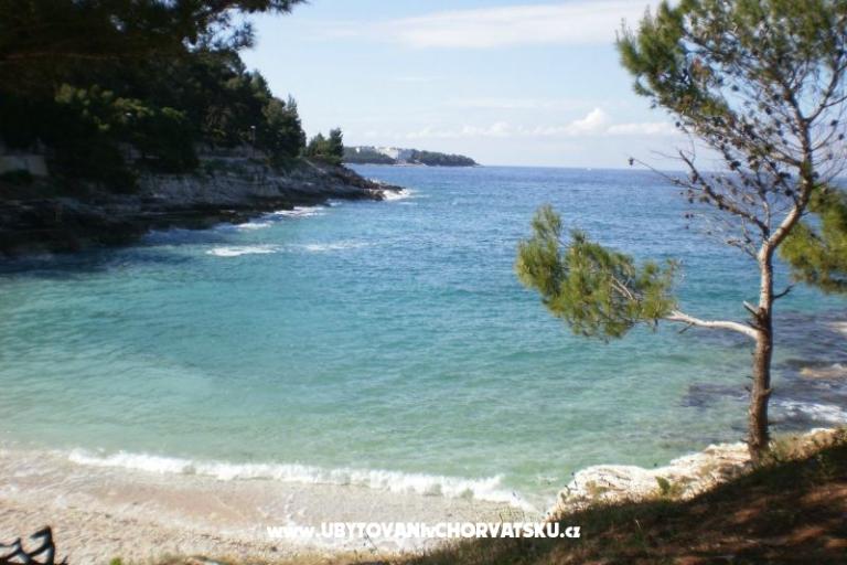 Apartma Kranjac – foto 17