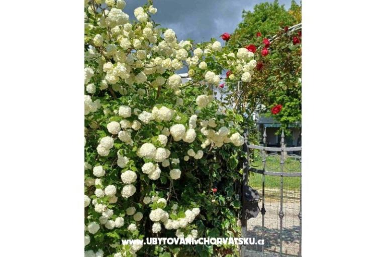 Apartma Križan – foto 13