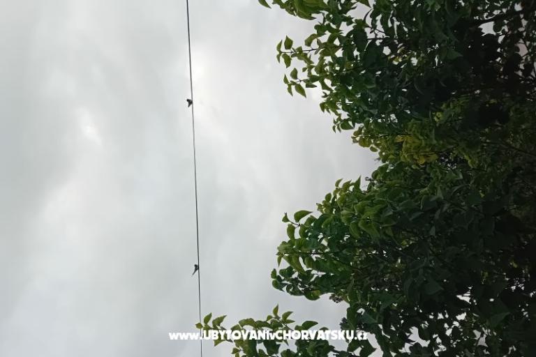 Apartma Križan – foto 19