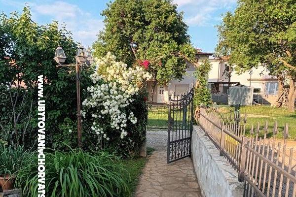 Apartma Križan – foto 9