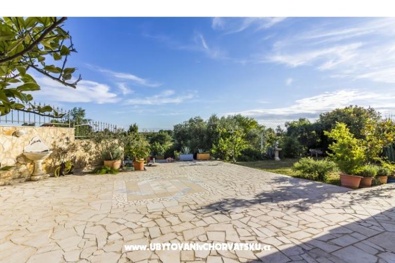 Apartma Mika – foto 16