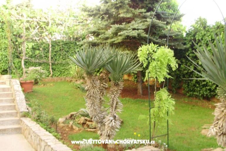 Apartma Pinzan – foto 10