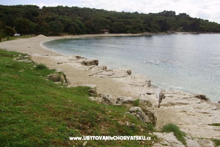 Apartma Pinzan – foto 16