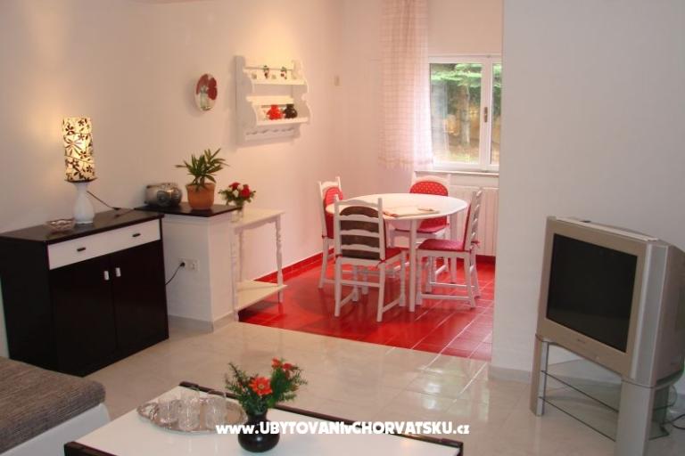 Apartma Pinzan – foto 3