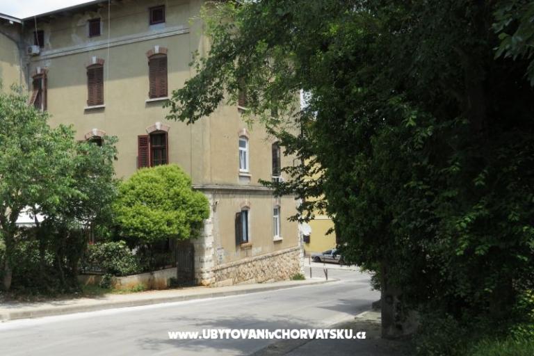 Apartma Stoja – foto 10