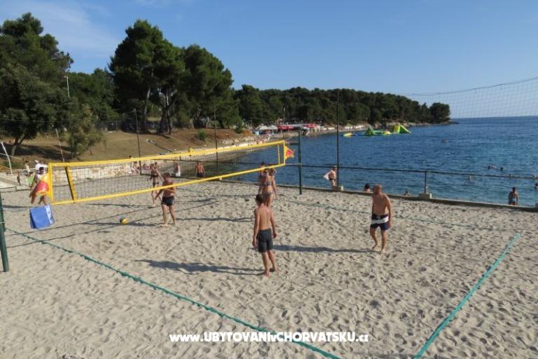 Apartma Stoja – foto 12