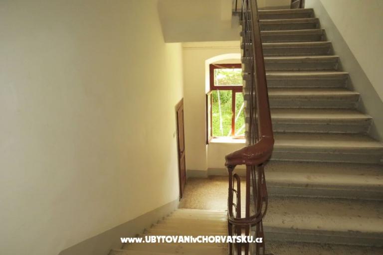 Apartma Stoja – foto 18