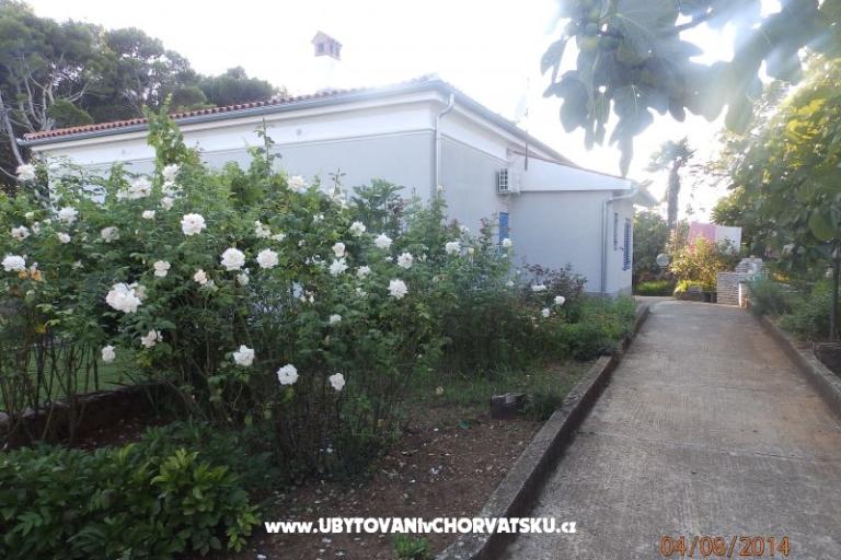 Apartma Valdebek – foto 16
