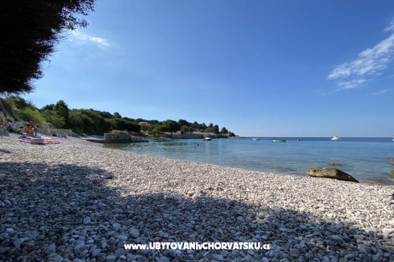Apartma Viktorija – foto 6