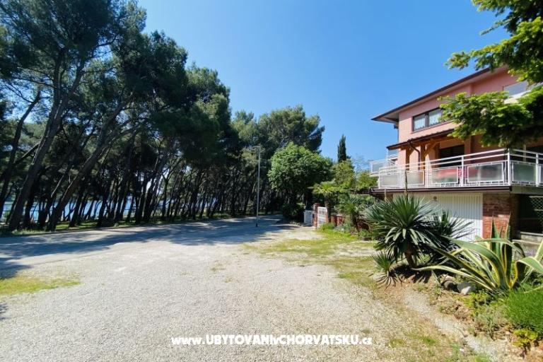 Apartma Viktorija – foto 7