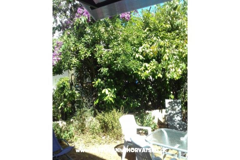 Apartma Zora Pula – foto 21