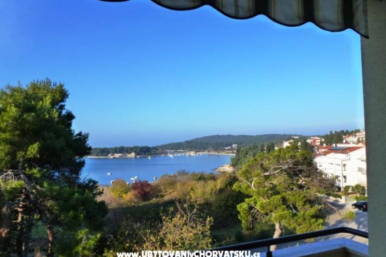 Apartmaji Grbin – foto 12