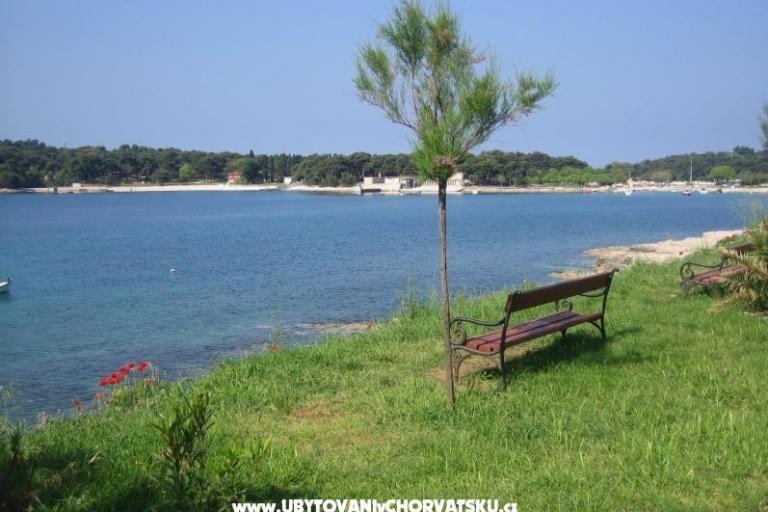 Apartmaji Grbin – foto 15
