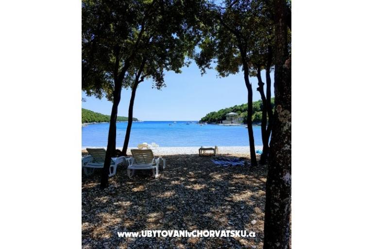 Apartmaji Duga Uvala – foto 14