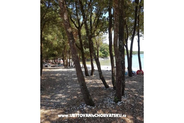 Apartmaji Duga Uvala – foto 15