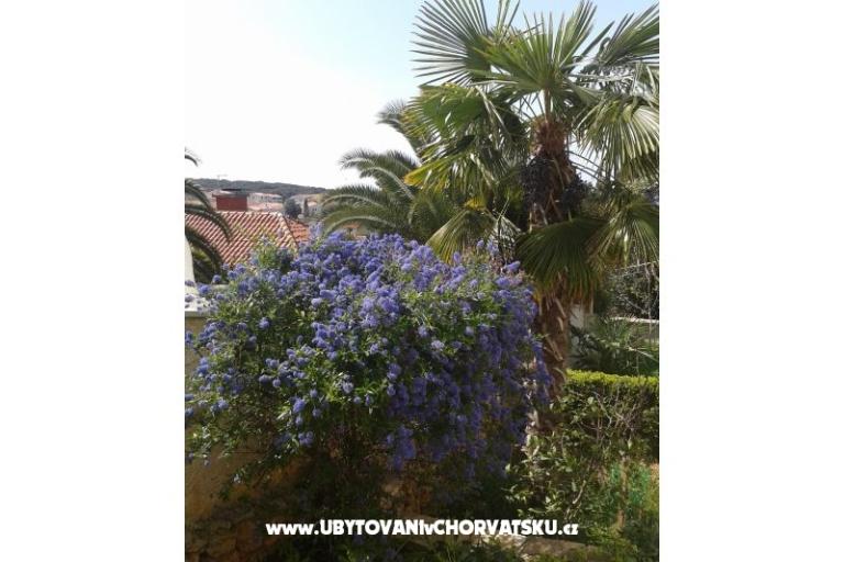 Apartmaji Ivana – foto 14